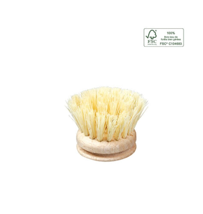 Recharge brosse vaiselle